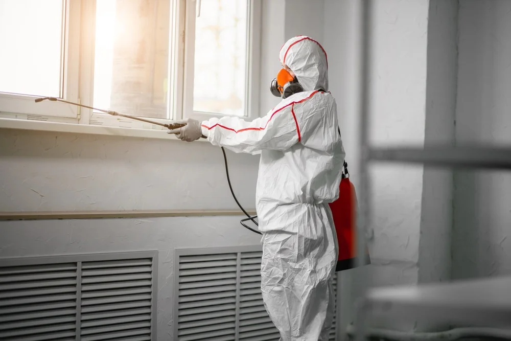 Professional mold remediation services in Lithia, FL